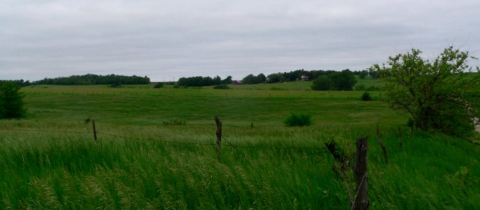 A-M Schmid farmstead setting from NE 1