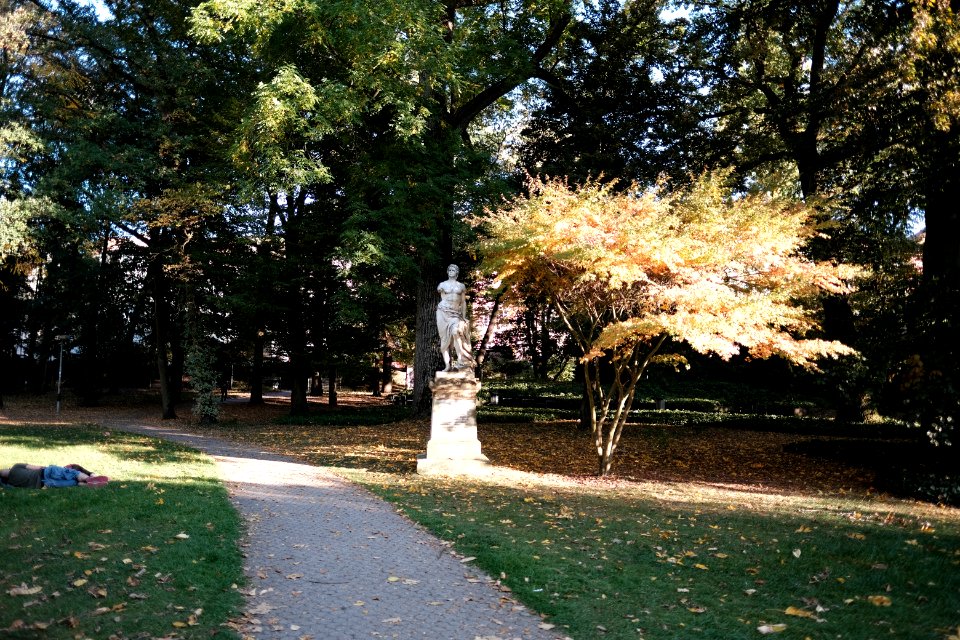 Alter-botanischer-garten-8