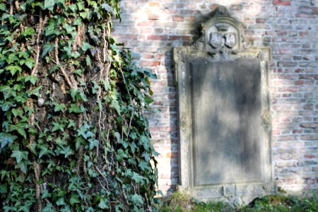Alter Südfriedhof München 2010-04-24-1691