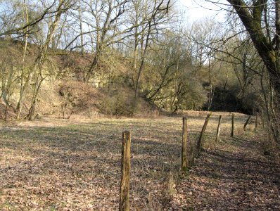 Alter Steinbruch links des Steinbachs in seiner Klinge, Blick nach ENE