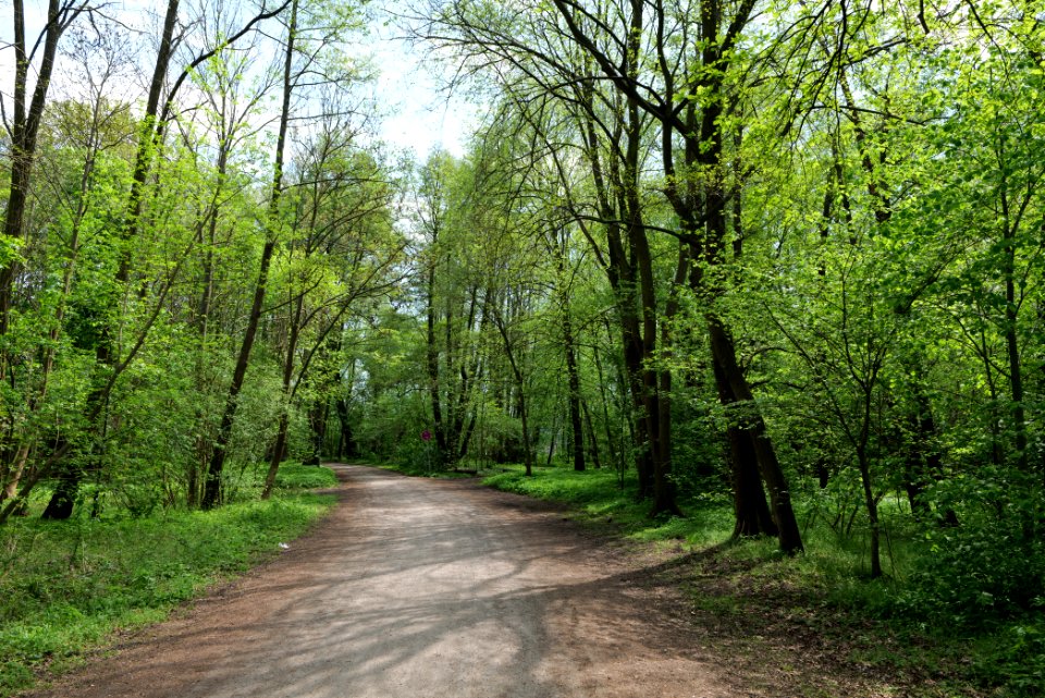 Am Strand Rangsdorf 2021-05-11 03