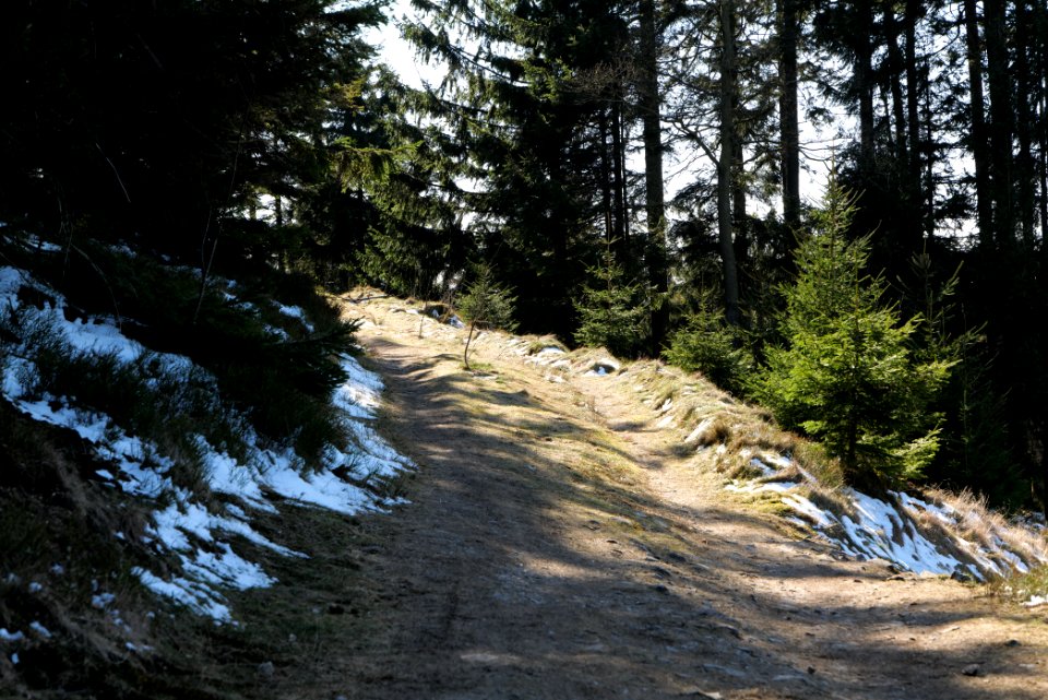 Altkönig 2020-03-25 41