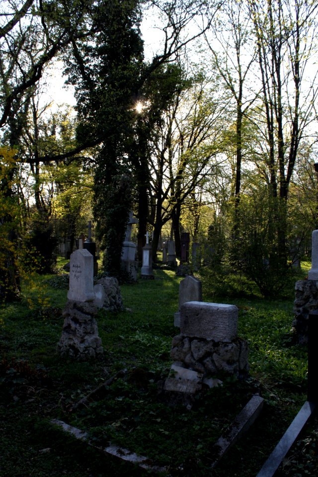 Alter Südfriedhof München 2010-04-24-1725