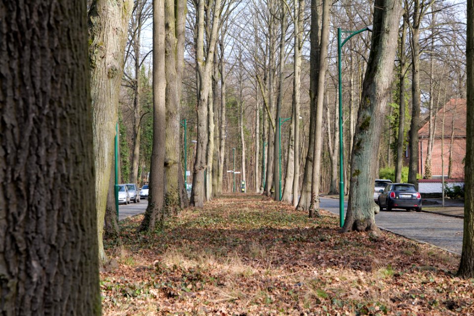 Am Kiebitzberg Kleinmachnow 2021-02-24 01