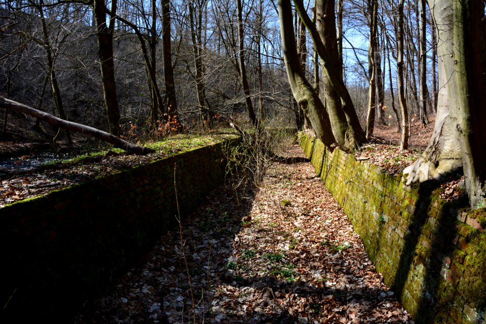 Alter Mühlgraben im Seifersdorfer Tal