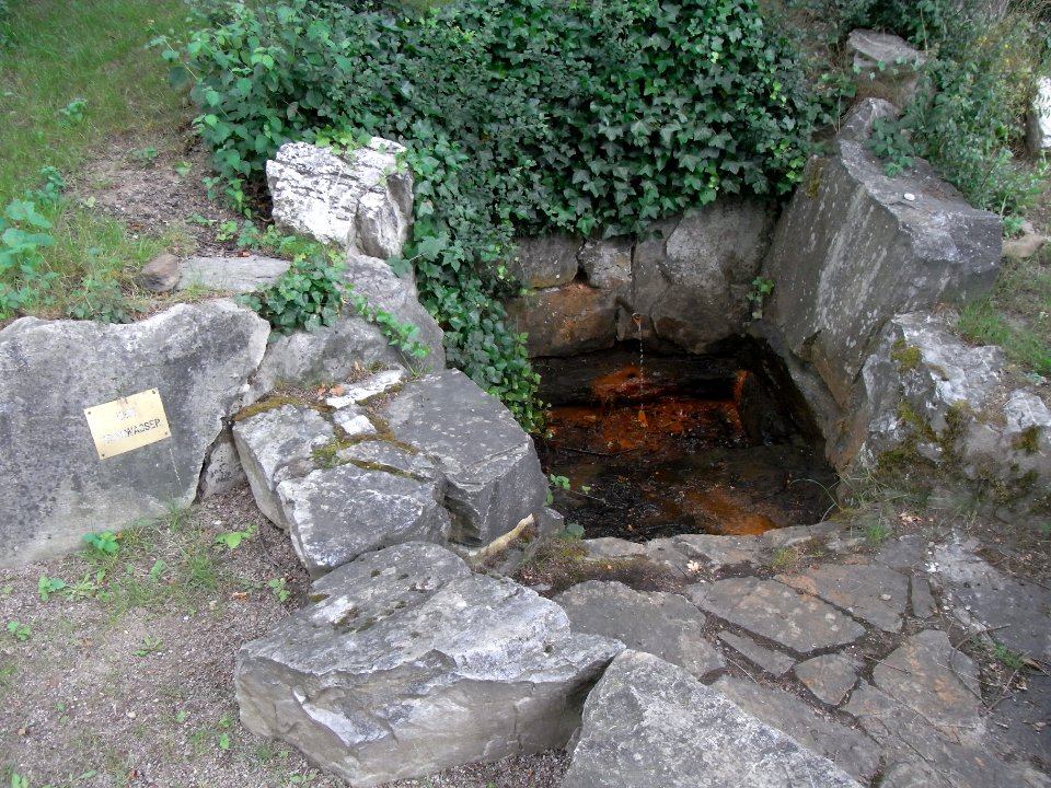 Alter Pfingstborn R0017083