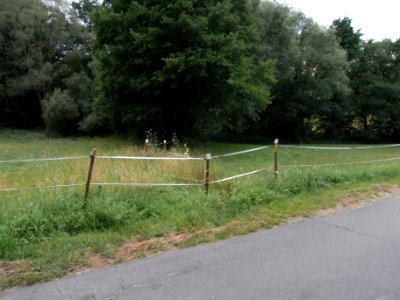 Alter Pfingstborn Abfluss R0017085