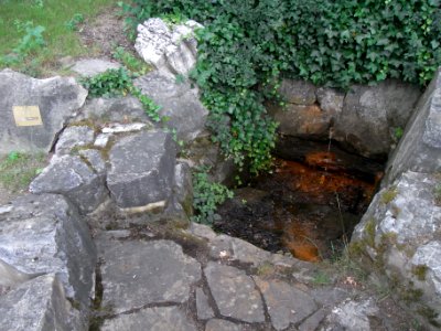 Alter Pfingstborn R0017084