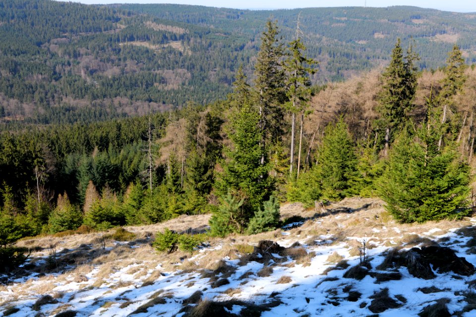 Altkönig 2020-03-25 35