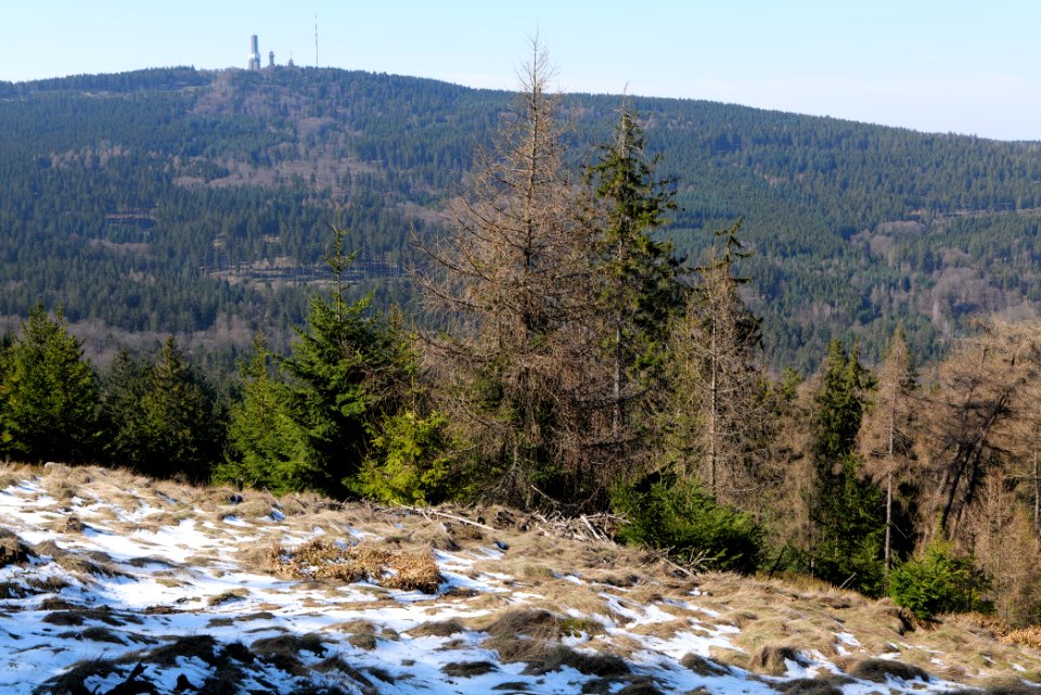 Altkönig 2020-03-25 29