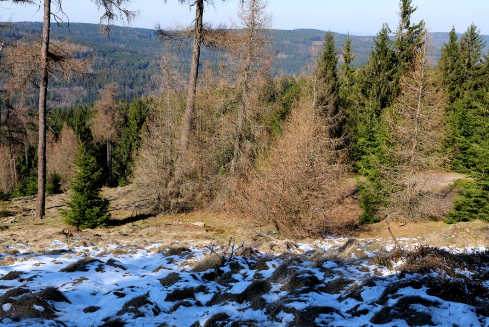 Altkönig 2020-03-25 24