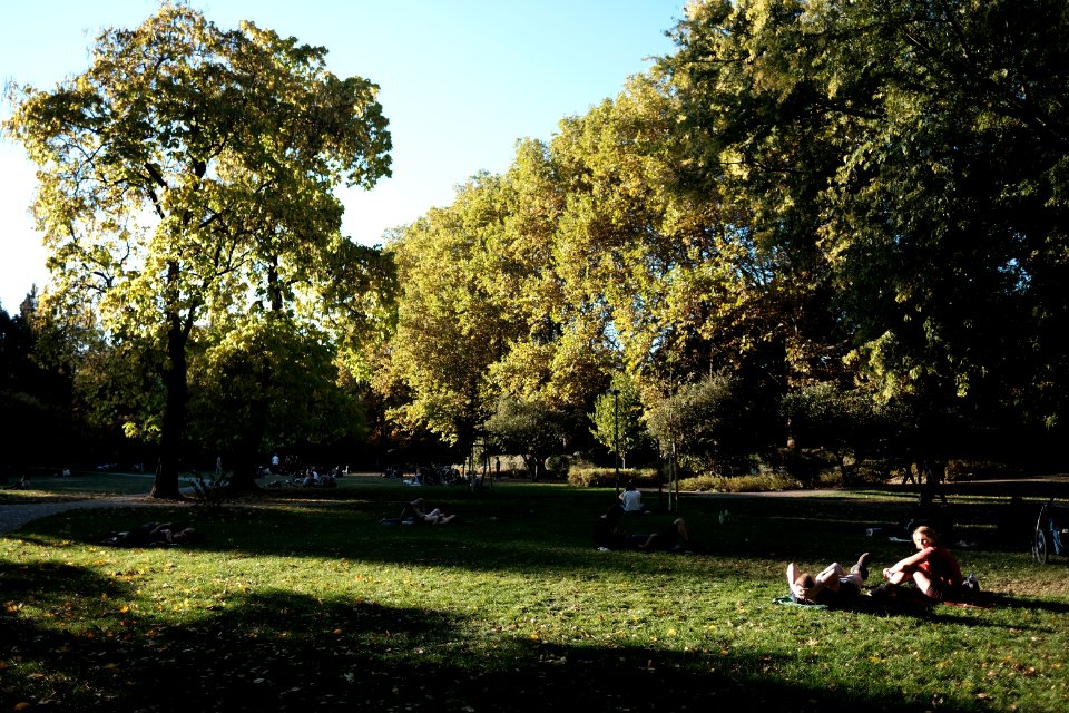 Alter-botanischer-garten-10