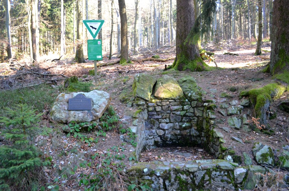 Altkönig, Neubronners-Born