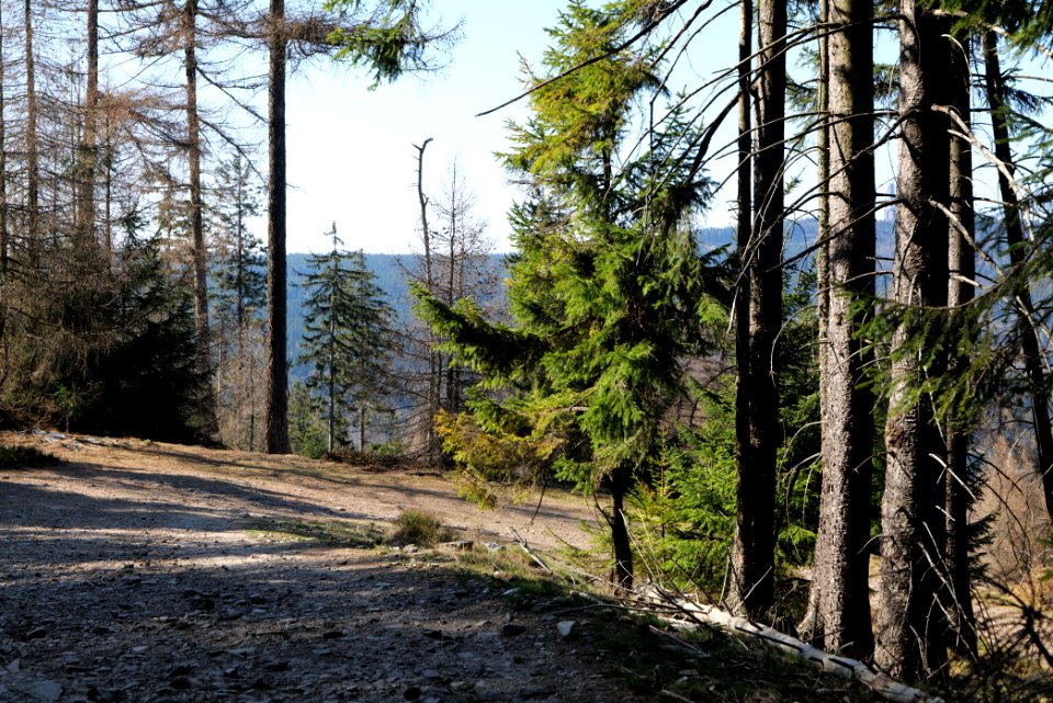Altkönig 2020-03-25 20
