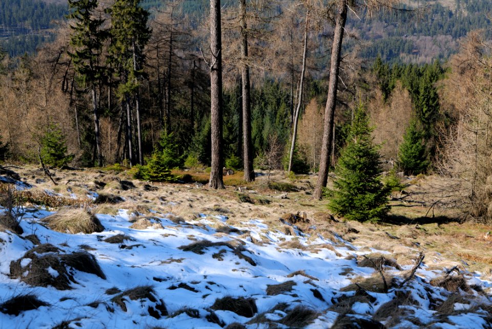 Altkönig 2020-03-25 23