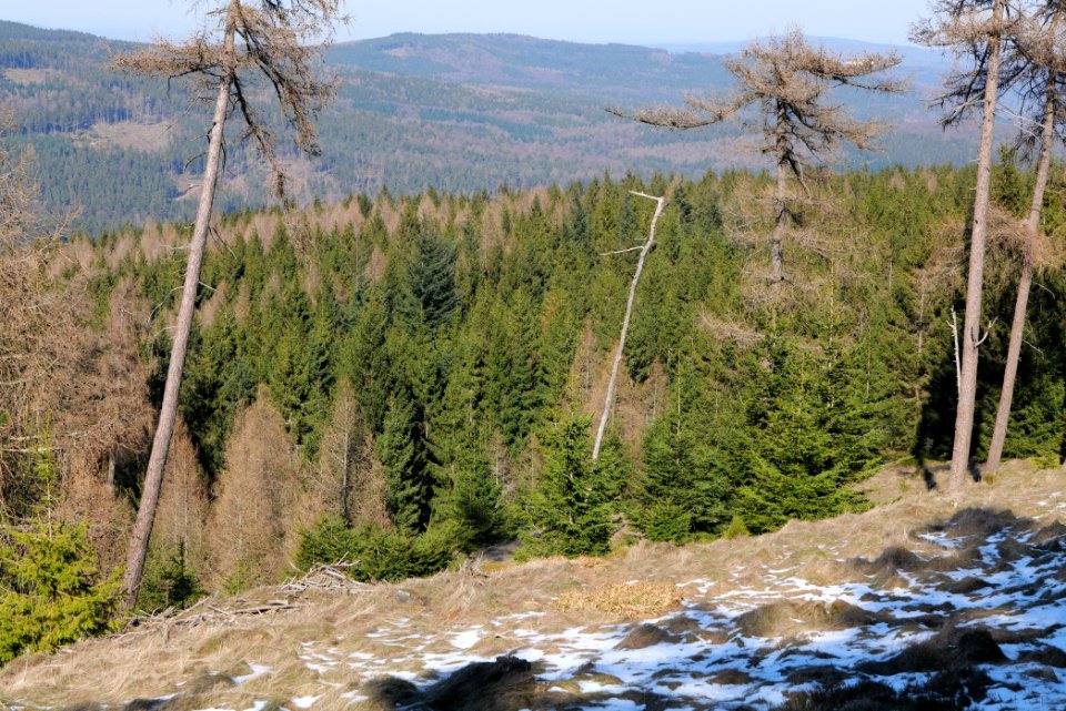 Altkönig 2020-03-25 31