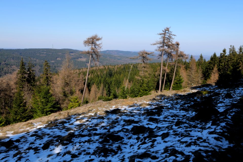 Altkönig 2020-03-25 30