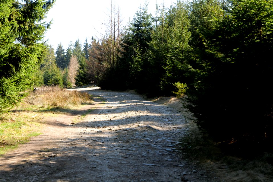 Altkönig 2020-03-25 07