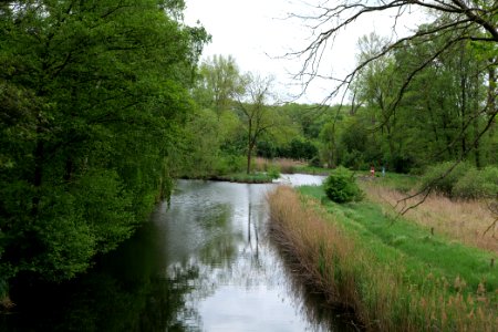 Alter Rhin Oberes Rhinluch 2020-05-15 02