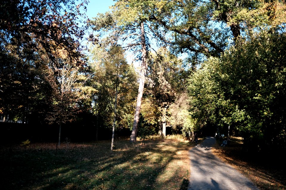 Alter-botanischer-garten-2