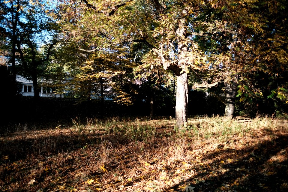 Alter-botanischer-garten-3