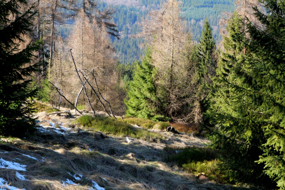 Altkönig 2020-03-25 16