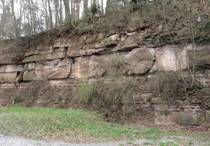 Alter Schilfsandsteinbruch am SW-Fuß des Eichelbergs bei Bühlerzell