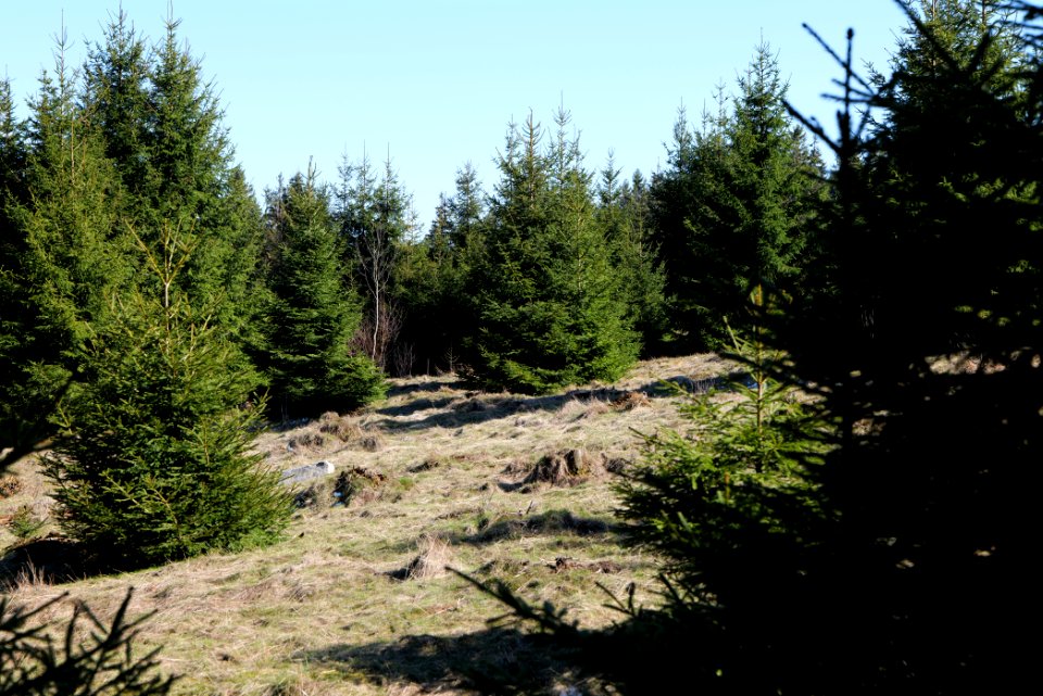 Altkönig 2020-03-25 13