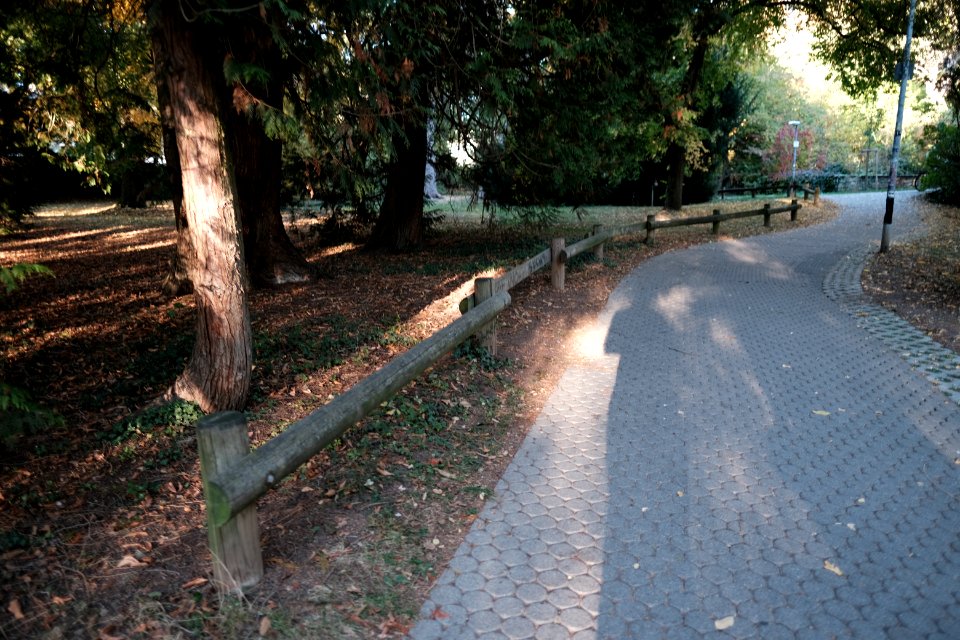 Alter-botanischer-garten-4