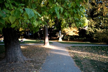Alter-botanischer-garten-7