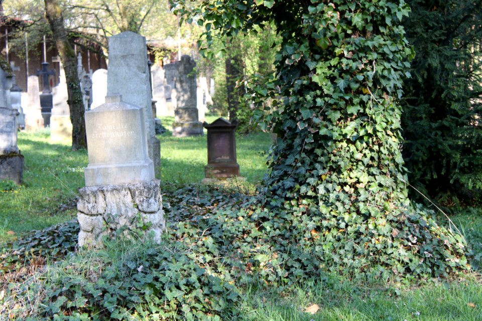 Alter Südfriedhof München 2010-04-24-1675