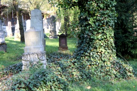 Alter Südfriedhof München 2010-04-24-1675