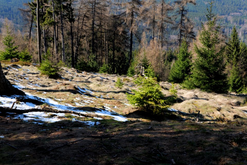 Altkönig 2020-03-25 19