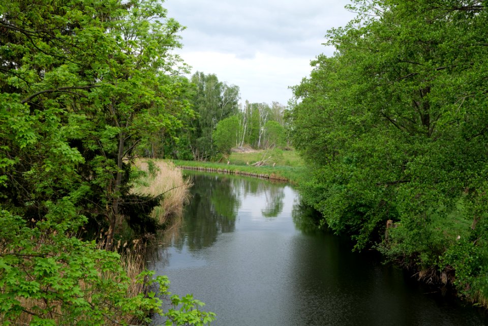 Alter Rhin Oberes Rhinluch 2020-05-15 05