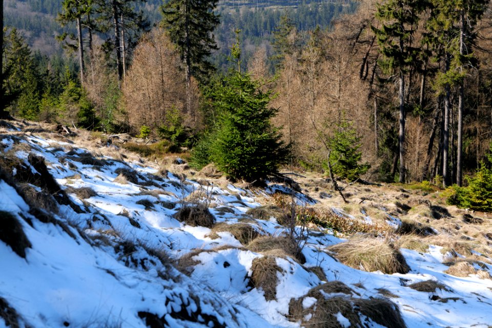Altkönig 2020-03-25 21