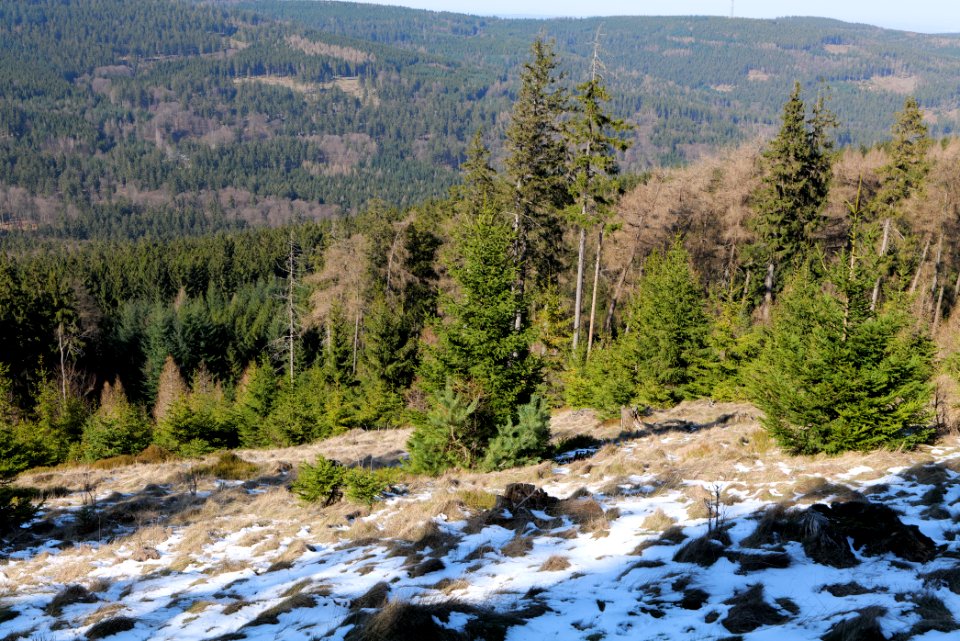 Altkönig 2020-03-25 36