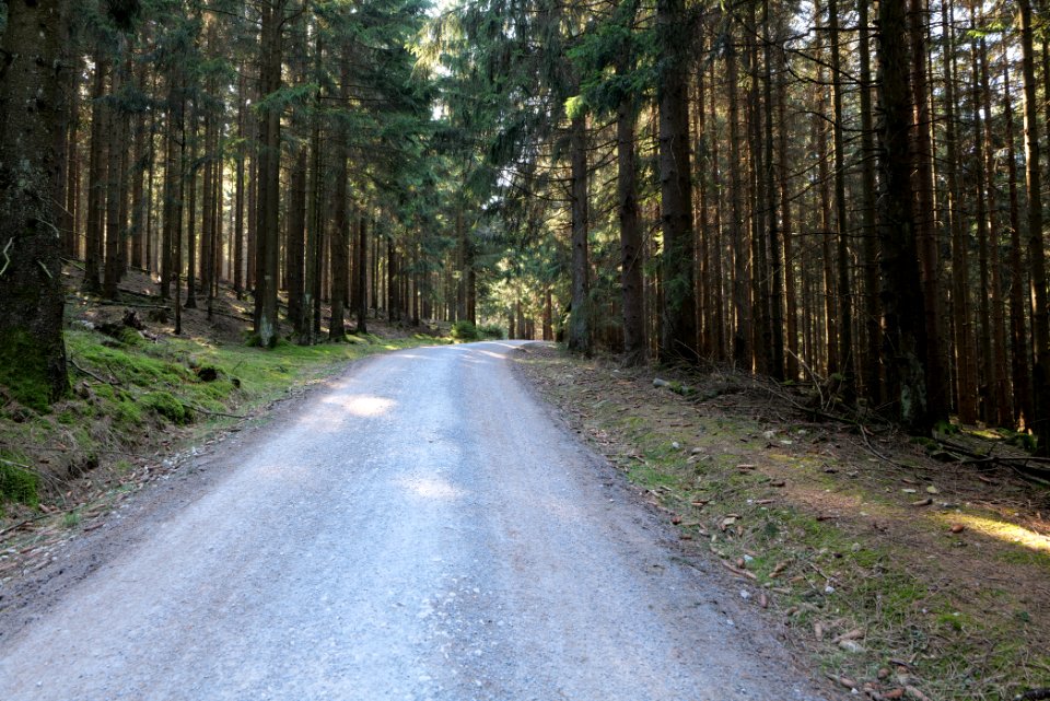 Altkönig 2020-03-25 04