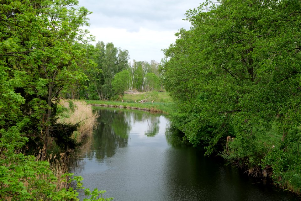 Alter Rhin Oberes Rhinluch 2020-05-15 06