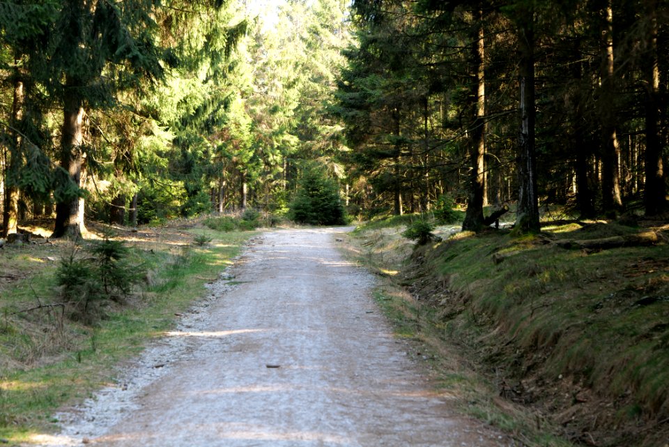 Altkönig 2020-03-25 06