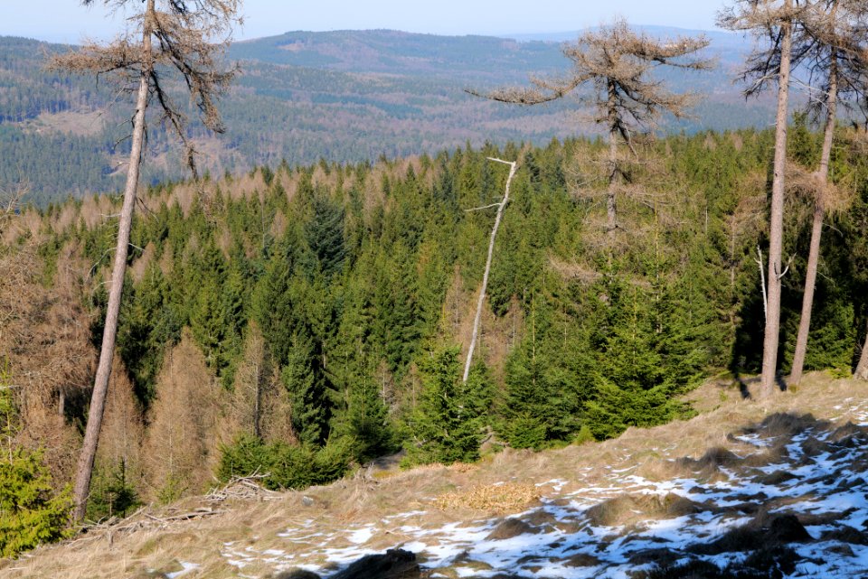 Altkönig 2020-03-25 32