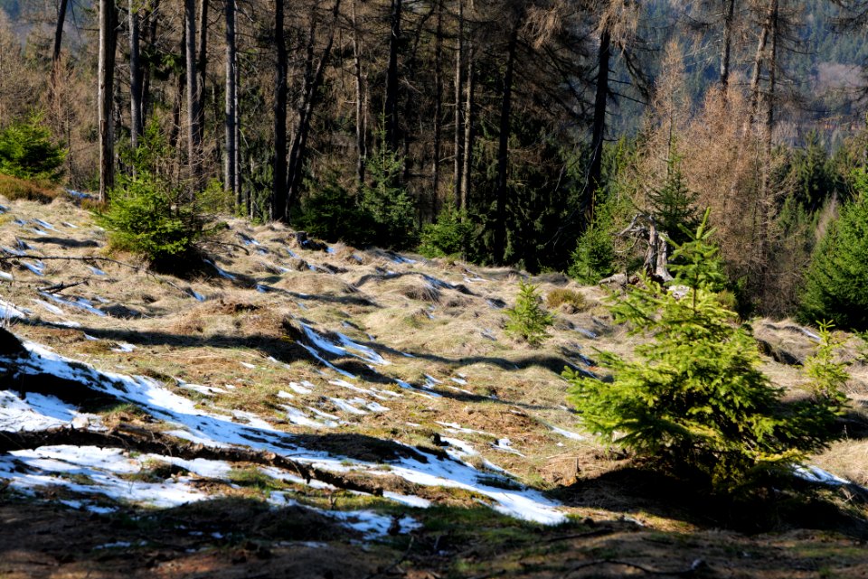 Altkönig 2020-03-25 18
