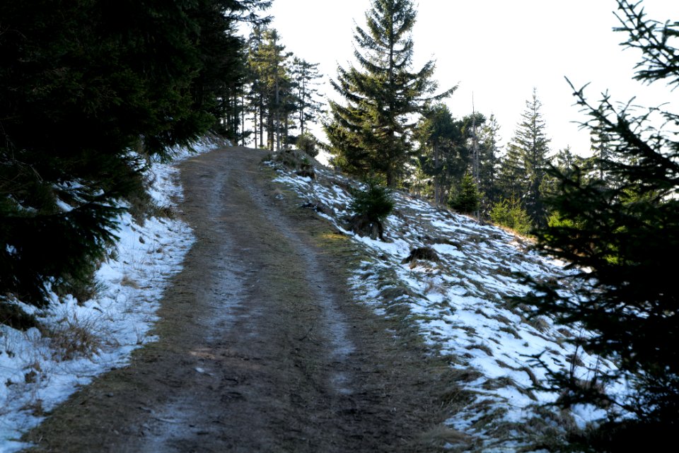 Altkönig 2020-03-25 27