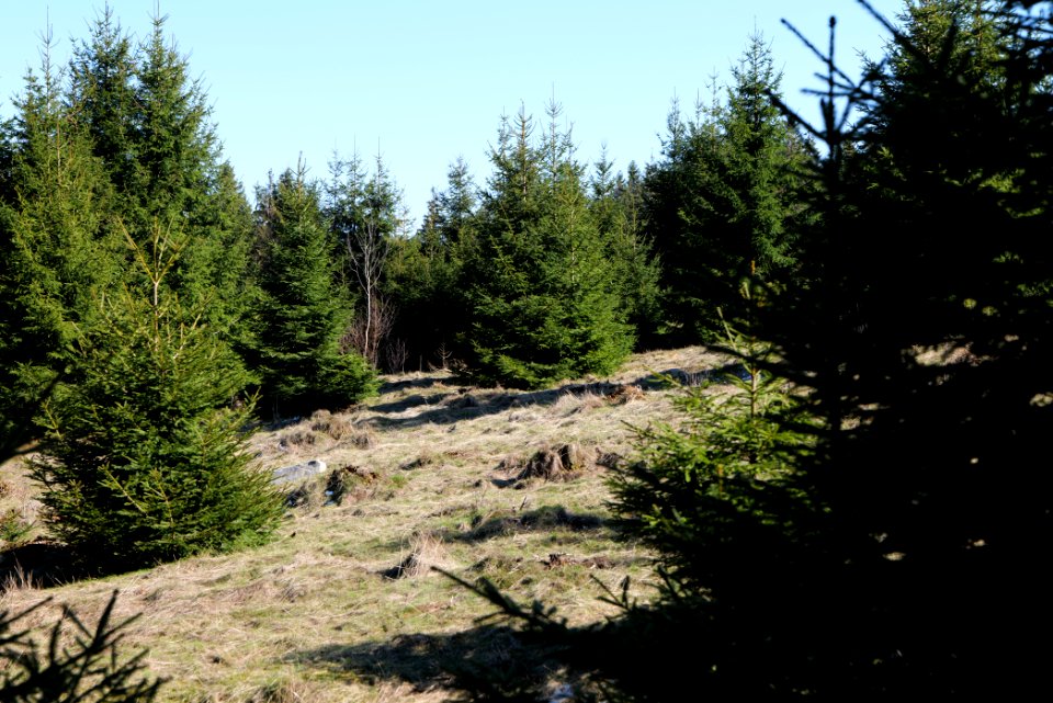 Altkönig 2020-03-25 12