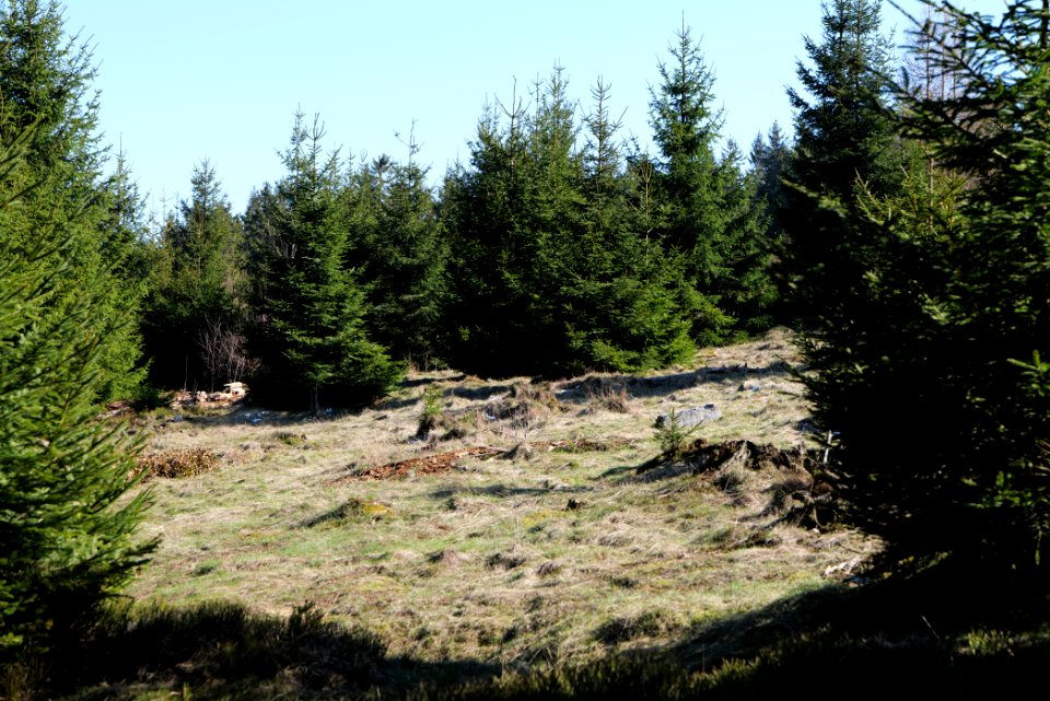 Altkönig 2020-03-25 09