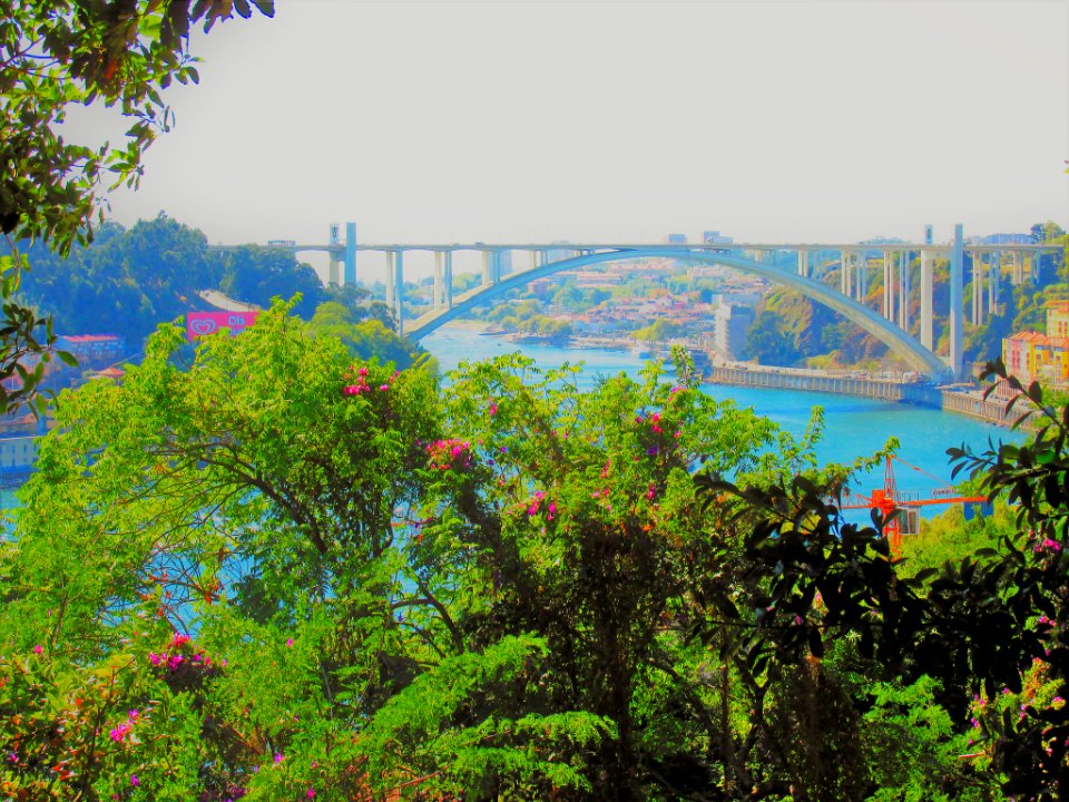 Amazing O Porto Ii (225522485)
