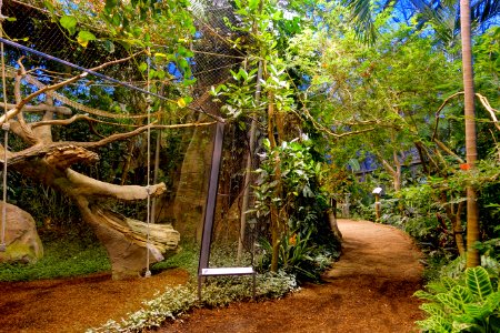 Amazonienhaus interior view - Wilhelma Zoo - Stuttgart, Germany - DSC02522