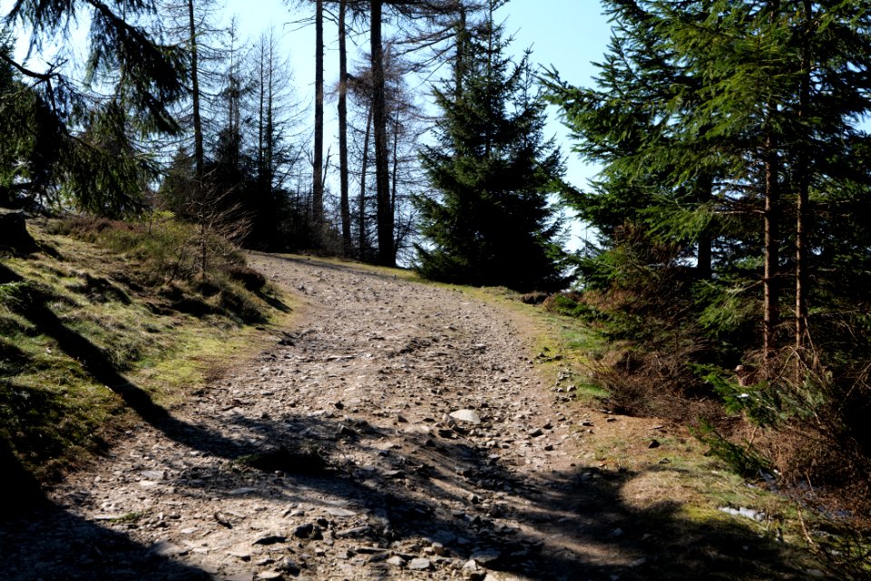 Altkönig 2020-03-25 14