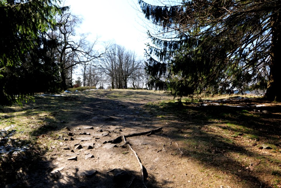 Altkönig 2020-03-25 61