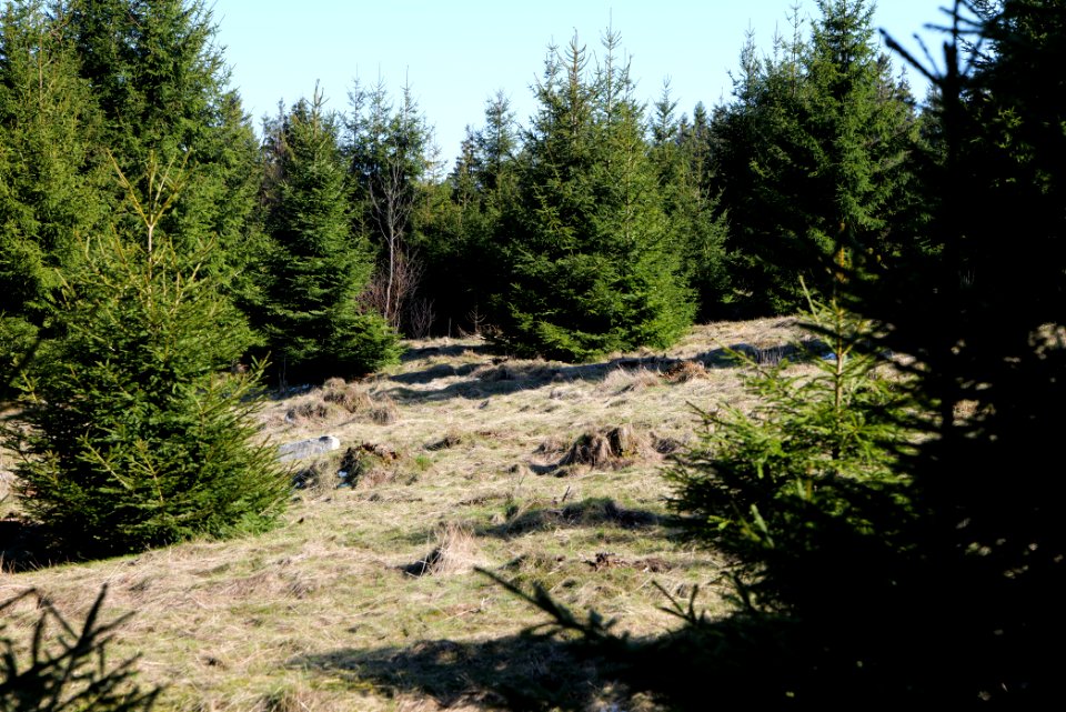 Altkönig 2020-03-25 11
