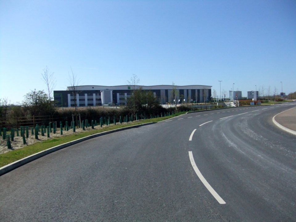 AmazonWooton